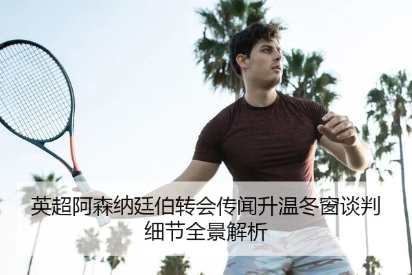 ying-chao-a-sen-na-ting-bo-zhuan-hui-chuan-wen-sheng-wen-dong-chuang-tan-pan-xi-jie-quan-jing-jie-xi-2-101.jpg
